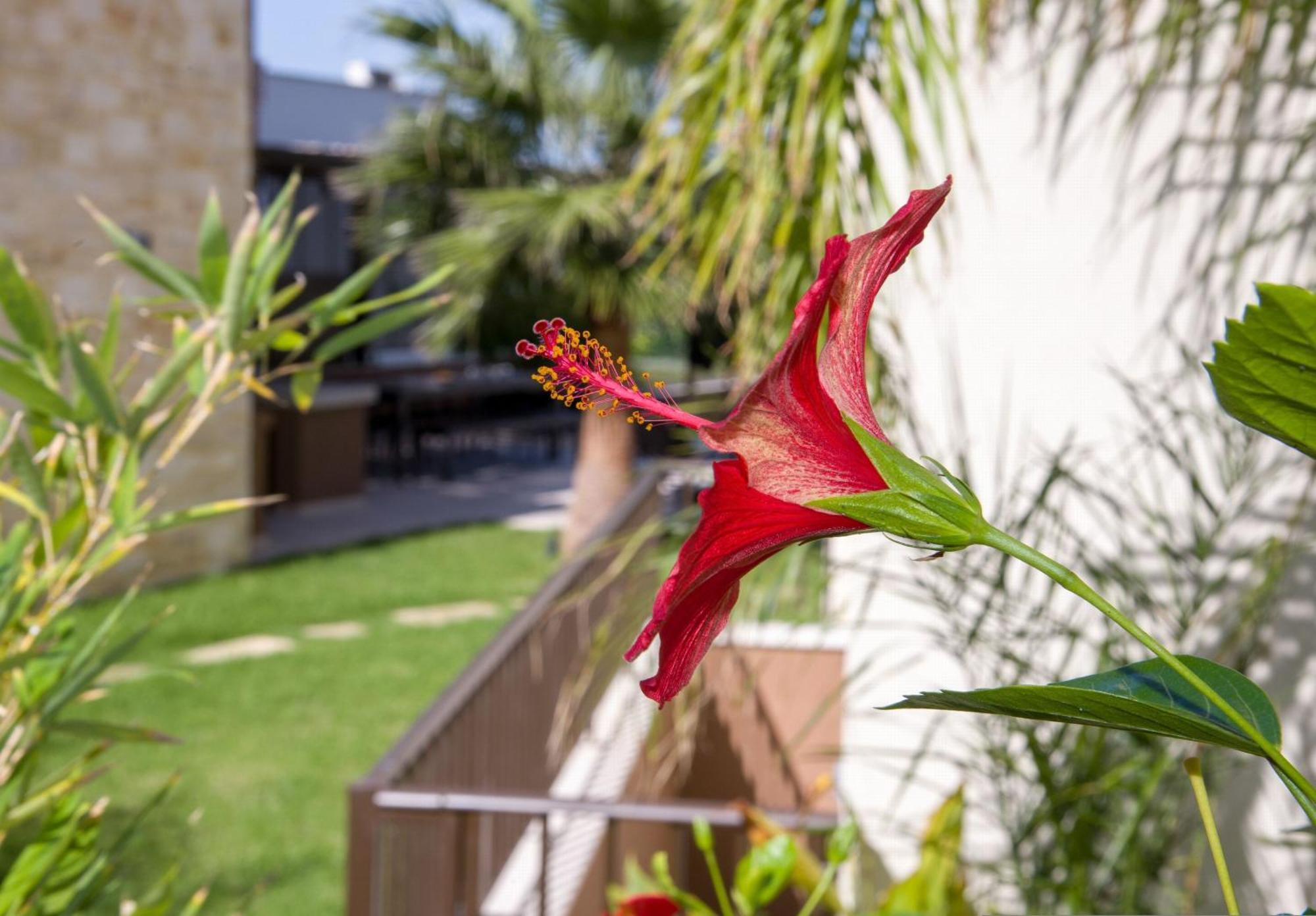 Almi-Cove Hilltop Villas Almirida Exterior foto